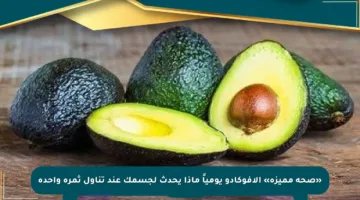 «صحة مميزة» الأفوكادو يومياً ماذا يحدث لجسمك عند تناول ثمرة واحدة